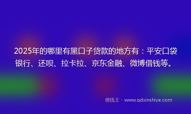2025年的哪里有黑口子贷款的地方有：平安口袋银行、还呗、拉卡拉、京东金融、微博借钱等。
