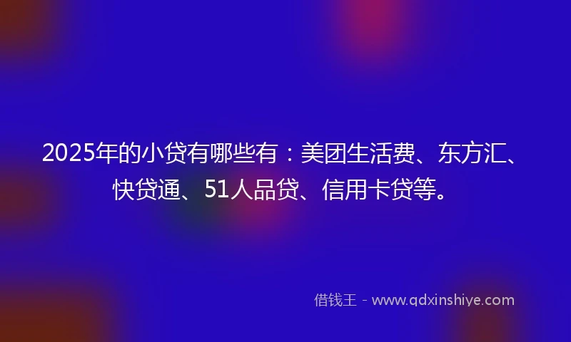2025年的小贷有哪些有：美团生活费、东方汇、快贷通、51人品贷、信用卡贷等。
