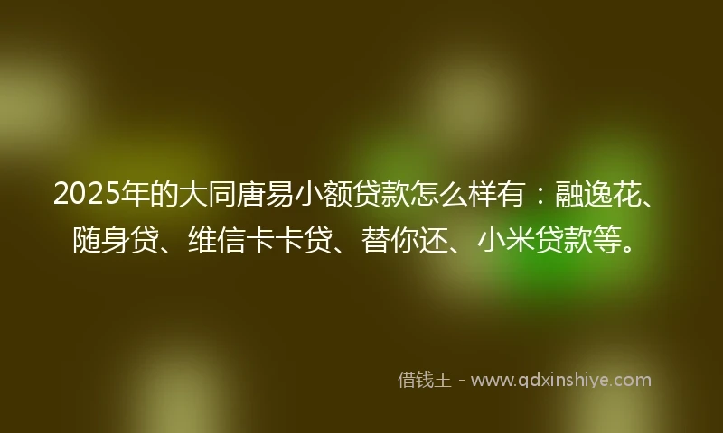 2025年的大同唐易小额贷款怎么样有：融逸花、随身贷、维信卡卡贷、替你还、小米贷款等。