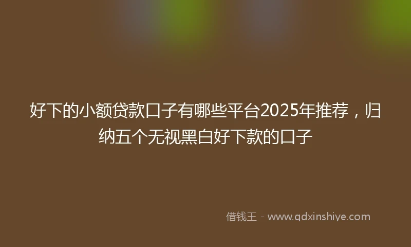 好下的小额贷款口子有哪些平台2025年推荐，归纳五个无视黑白好下款的口子