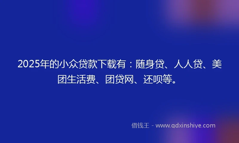 2025年的小众贷款下载有：随身贷、人人贷、美团生活费、团贷网、还呗等。