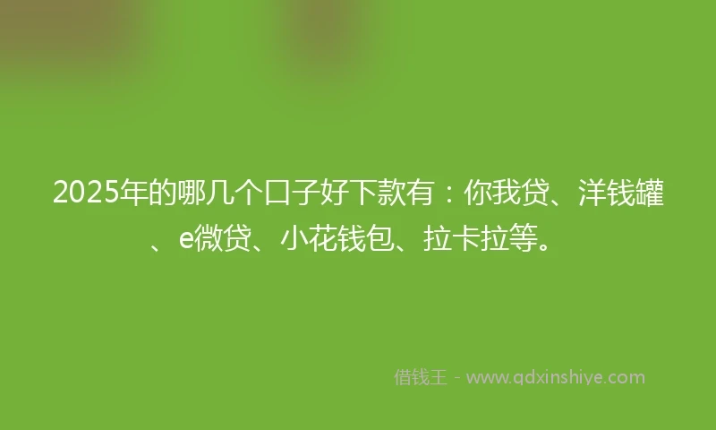 2025年的哪几个口子好下款有：你我贷、洋钱罐、e微贷、小花钱包、拉卡拉等。