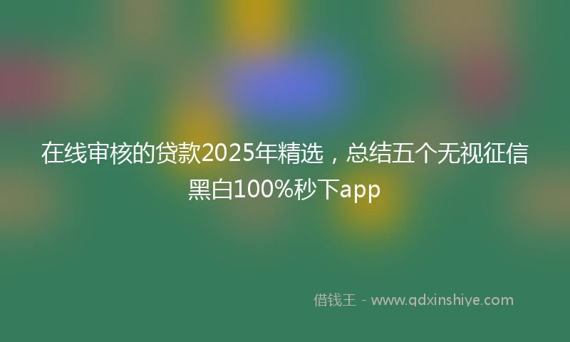 在线审核的贷款2025年精选，总结五个无视征信黑白100%秒下app