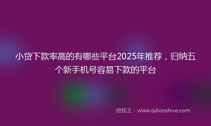 小贷下款率高的有哪些平台2025年推荐，归纳五个新手机号容易下款的平台