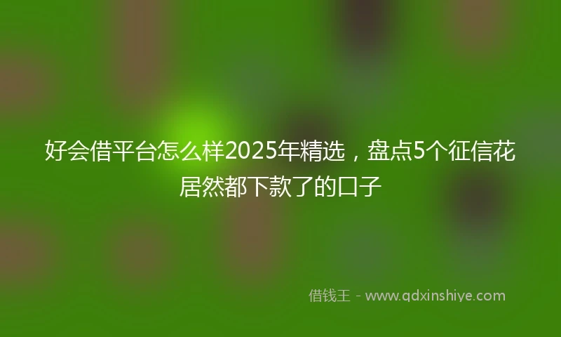 好会借平台怎么样2025年精选，盘点5个征信花居然都下款了的口子