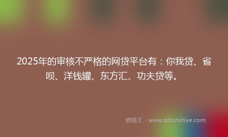 2025年的审核不严格的网贷平台有：你我贷、省呗、洋钱罐、东方汇、功夫贷等。