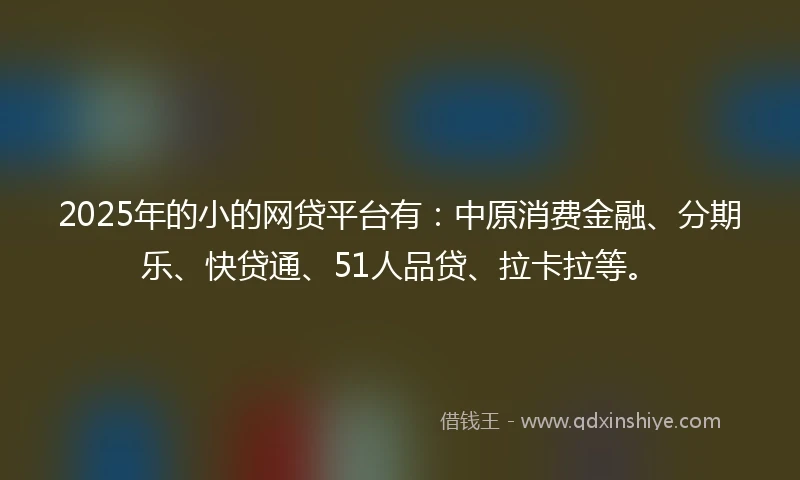 2025年的小的网贷平台有：中原消费金融、分期乐、快贷通、51人品贷、拉卡拉等。