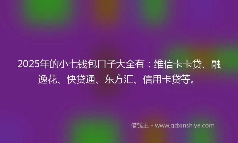 2025年的小七钱包口子大全有：维信卡卡贷、融逸花、快贷通、东方汇、信用卡贷等。
