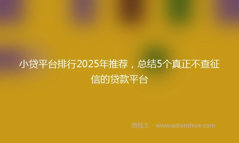 小贷平台排行2025年推荐，总结5个真正不查征信的贷款平台