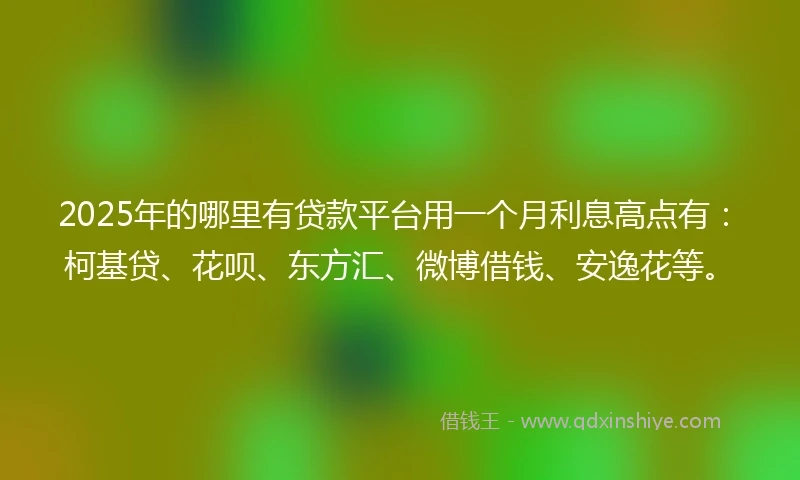 2025年的哪里有贷款平台用一个月利息高点有：柯基贷、花呗、东方汇、微博借钱、安逸花等。