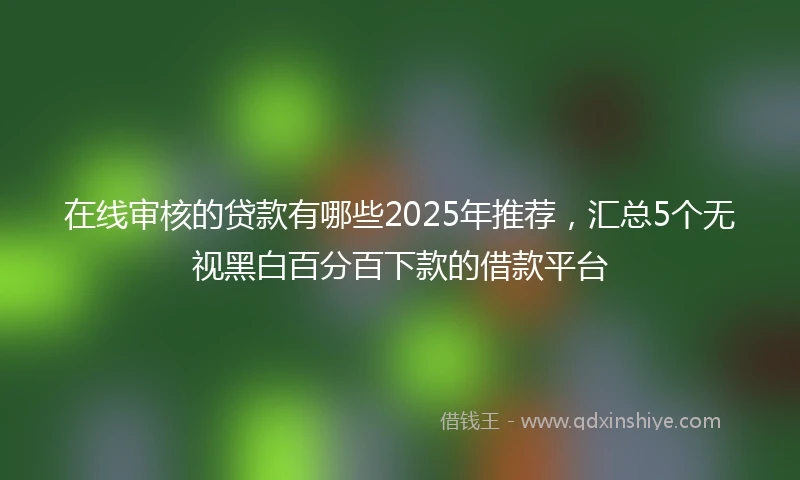 在线审核的贷款有哪些2025年推荐，汇总5个无视黑白百分百下款的借款平台