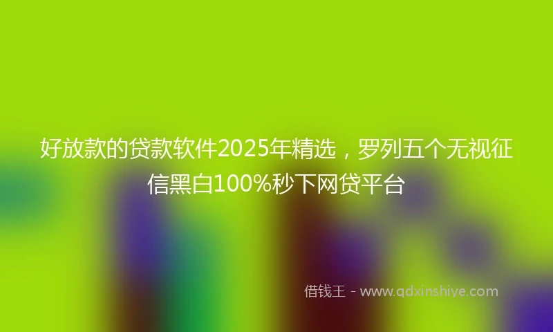 好放款的贷款软件2025年精选，罗列五个无视征信黑白100%秒下网贷平台
