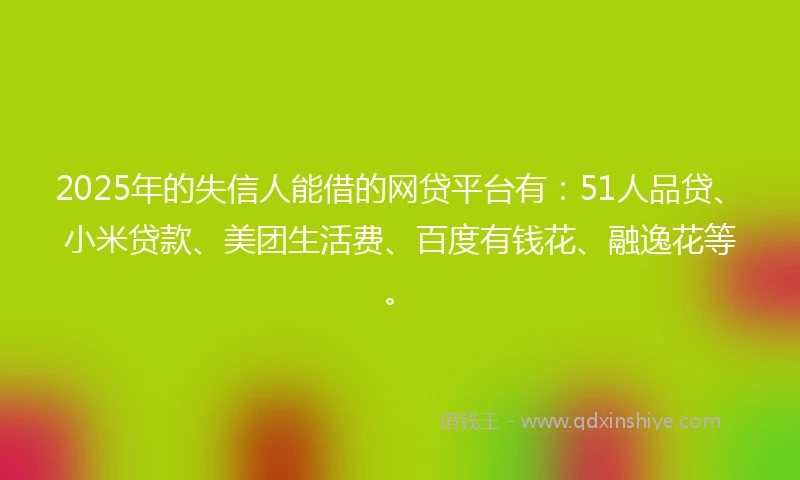 2025年的失信人能借的网贷平台有：51人品贷、小米贷款、美团生活费、百度有钱花、融逸花等。