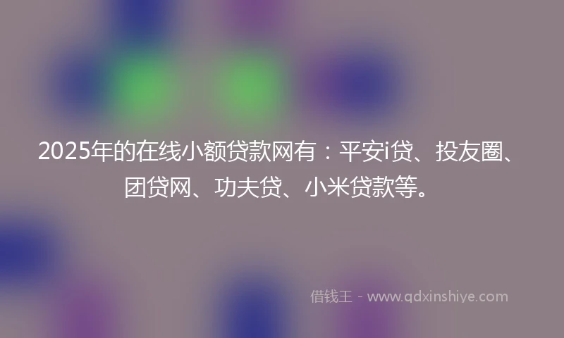 2025年的在线小额贷款网有：平安i贷、投友圈、团贷网、功夫贷、小米贷款等。
