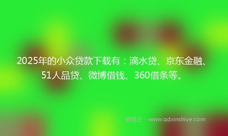 2025年的小众贷款下载有：滴水贷、京东金融、51人品贷、微博借钱、360借条等。
