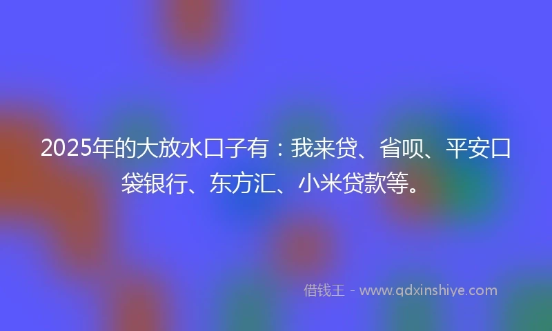 2025年的大放水口子有：我来贷、省呗、平安口袋银行、东方汇、小米贷款等。