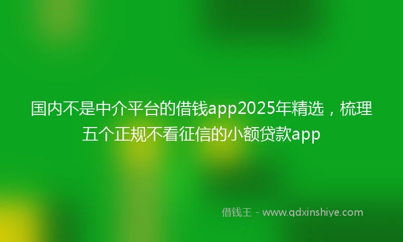 国内不是中介平台的借钱app2025年精选，梳理五个正规不看征信的小额贷款app