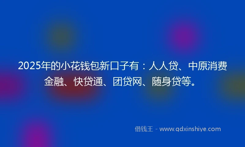 2025年的小花钱包新口子有：人人贷、中原消费金融、快贷通、团贷网、随身贷等。