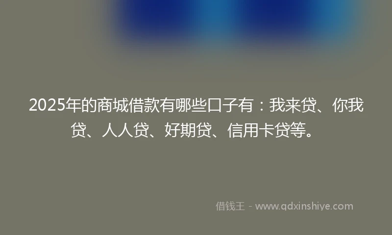 2025年的商城借款有哪些口子有：我来贷、你我贷、人人贷、好期贷、信用卡贷等。
