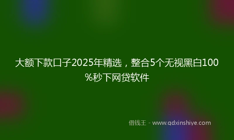 大额下款口子2025年精选，整合5个无视黑白100%秒下网贷软件