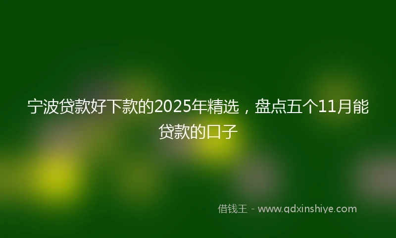 宁波贷款好下款的2025年精选，盘点五个11月能贷款的口子