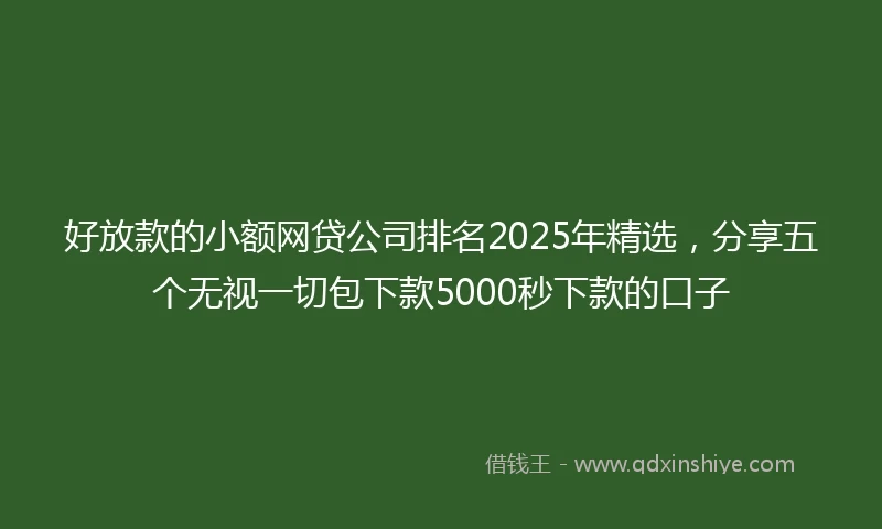 好放款的小额网贷公司排名2025年精选，分享五个无视一切包下款5000秒下款的口子