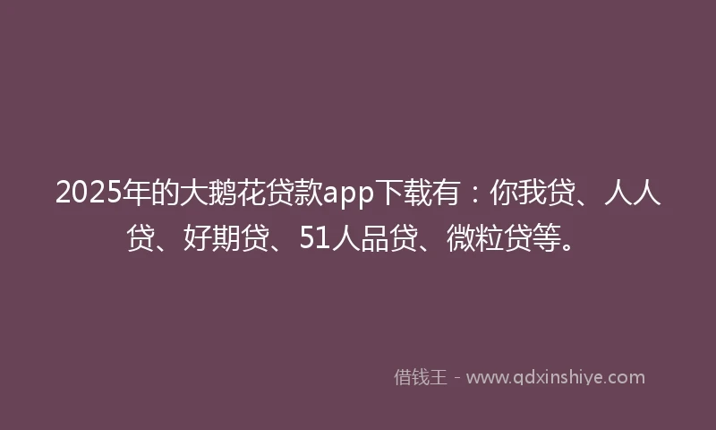 2025年的大鹅花贷款app下载有：你我贷、人人贷、好期贷、51人品贷、微粒贷等。