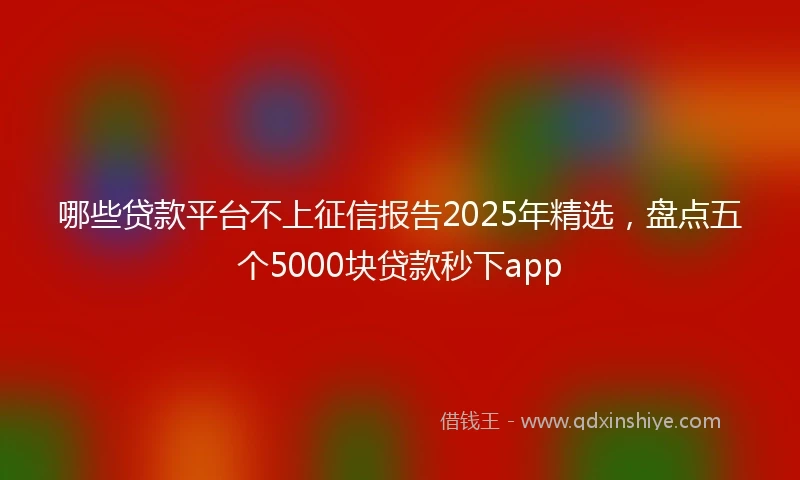 哪些贷款平台不上征信报告2025年精选，盘点五个5000块贷款秒下app