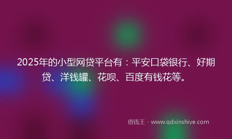 2025年的小型网贷平台有：平安口袋银行、好期贷、洋钱罐、花呗、百度有钱花等。