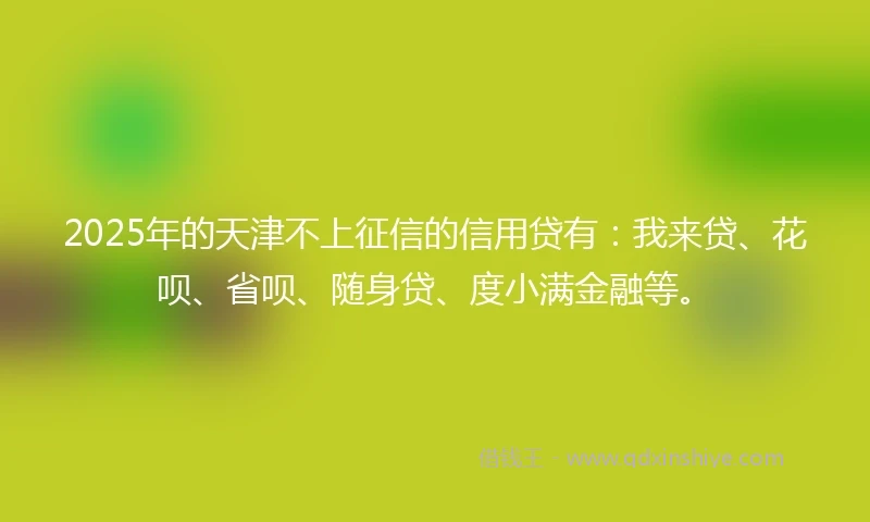 2025年的天津不上征信的信用贷有：我来贷、花呗、省呗、随身贷、度小满金融等。