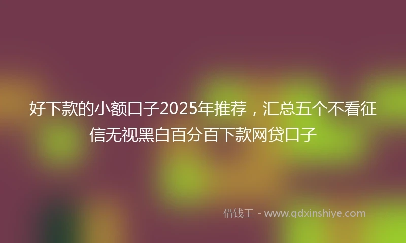 好下款的小额口子2025年推荐，汇总五个不看征信无视黑白百分百下款网贷口子
