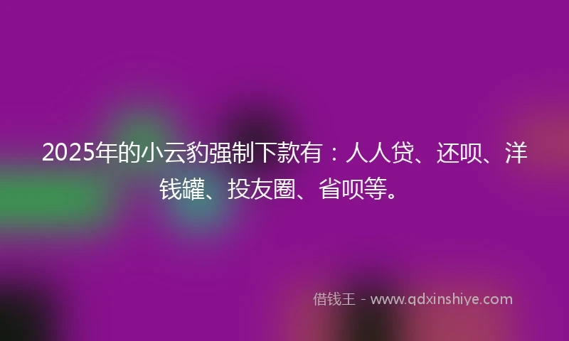 2025年的小云豹强制下款有：人人贷、还呗、洋钱罐、投友圈、省呗等。
