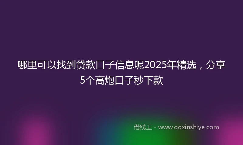 哪里可以找到贷款口子信息呢2025年精选，分享5个高炮口子秒下款