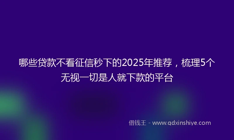 哪些贷款不看征信秒下的2025年推荐，梳理5个无视一切是人就下款的平台