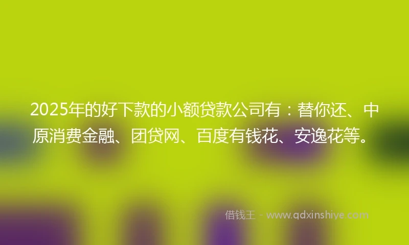 2025年的好下款的小额贷款公司有：替你还、中原消费金融、团贷网、百度有钱花、安逸花等。
