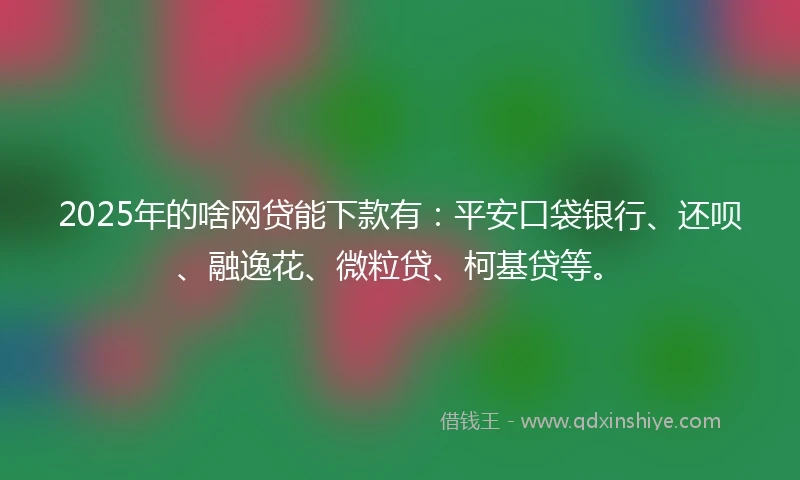2025年的啥网贷能下款有：平安口袋银行、还呗、融逸花、微粒贷、柯基贷等。
