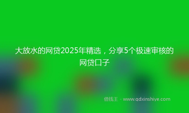 大放水的网贷2025年精选，分享5个极速审核的网贷口子