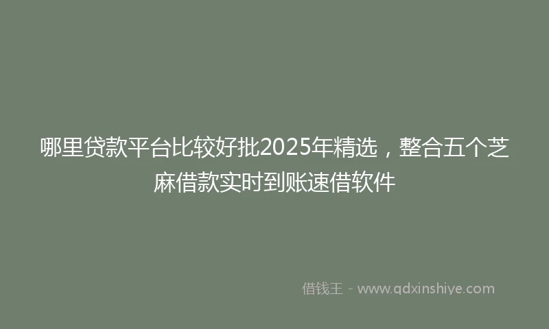 哪里贷款平台比较好批2025年精选，整合五个芝麻借款实时到账速借软件