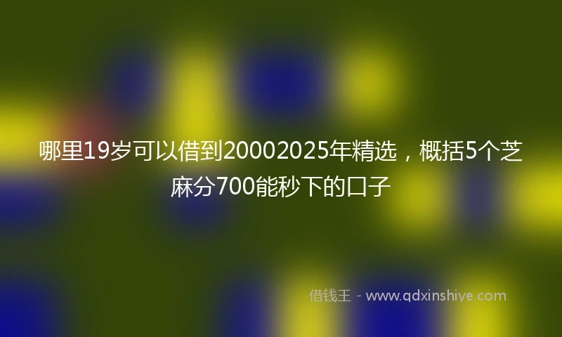 哪里19岁可以借到20002025年精选，概括5个芝麻分700能秒下的口子