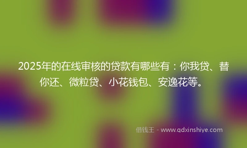 2025年的在线审核的贷款有哪些有：你我贷、替你还、微粒贷、小花钱包、安逸花等。