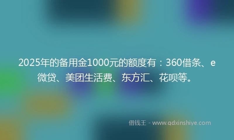 2025年的备用金1000元的额度有：360借条、e微贷、美团生活费、东方汇、花呗等。