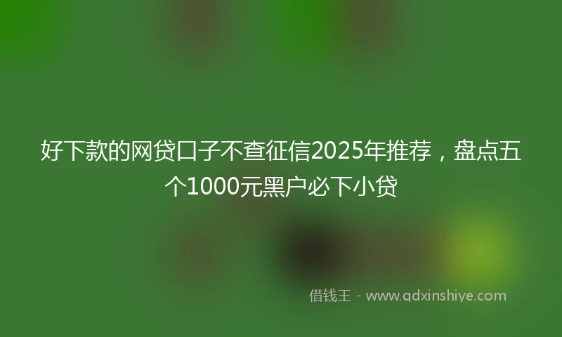 好下款的网贷口子不查征信2025年推荐，盘点五个1000元黑户必下小贷