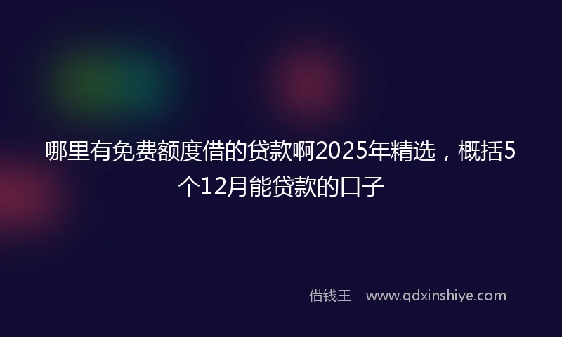 哪里有免费额度借的贷款啊2025年精选，概括5个12月能贷款的口子