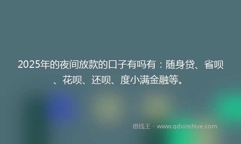 2025年的夜间放款的口子有吗有：随身贷、省呗、花呗、还呗、度小满金融等。