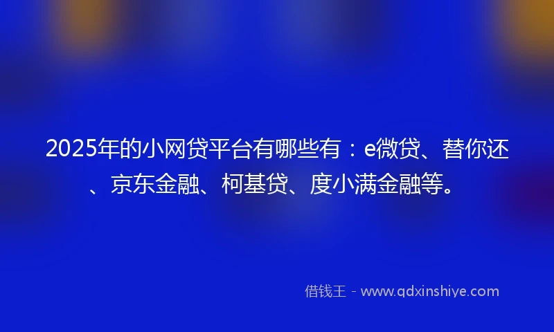 2025年的小网贷平台有哪些有：e微贷、替你还、京东金融、柯基贷、度小满金融等。