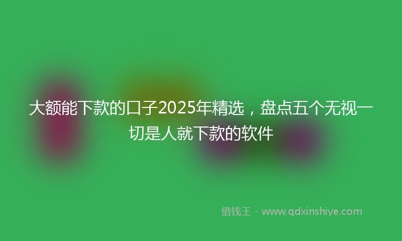 大额能下款的口子2025年精选，盘点五个无视一切是人就下款的软件