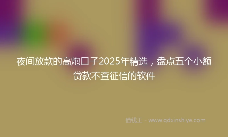 夜间放款的高炮口子2025年精选，盘点五个小额贷款不查征信的软件