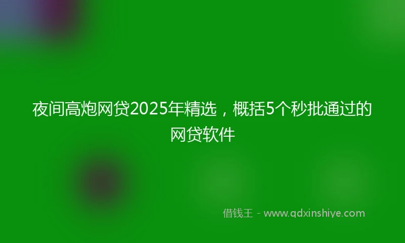 夜间高炮网贷2025年精选，概括5个秒批通过的网贷软件