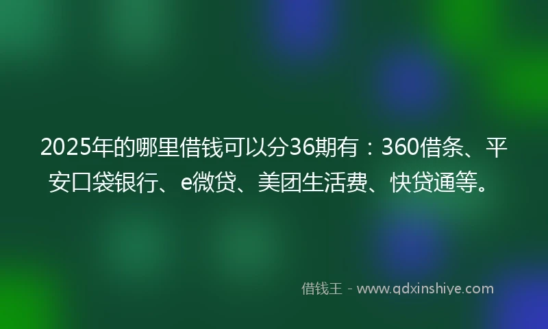 2025年的哪里借钱可以分36期有：360借条、平安口袋银行、e微贷、美团生活费、快贷通等。