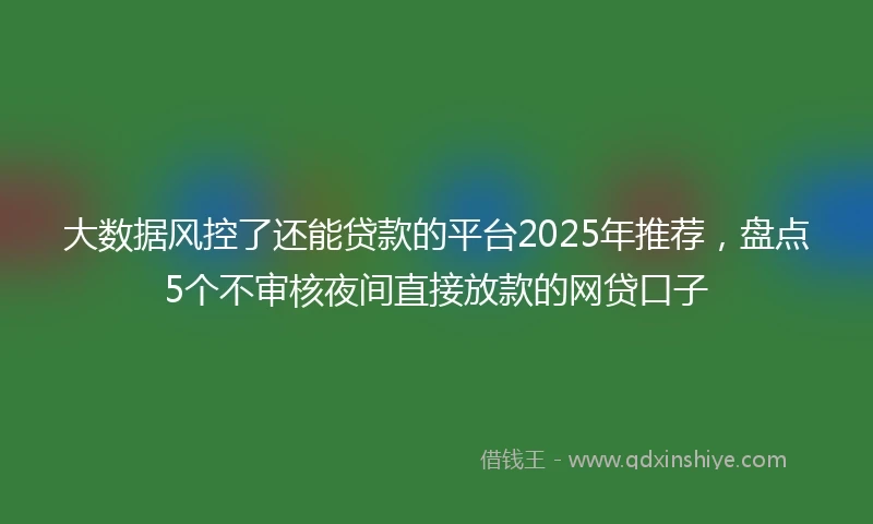 大数据风控了还能贷款的平台2025年推荐，盘点5个不审核夜间直接放款的网贷口子